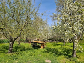 Appartement Fährdorf auf Poel Buitenaudio-opname 14