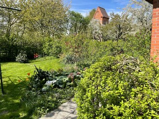 Apartamento Fährdorf auf Poel Grabación al aire libre 16