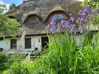 Apartment Fährdorf auf Poel Außenaufnahme 14