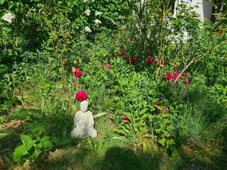 Apartment Fährdorf auf Poel Außenaufnahme 10