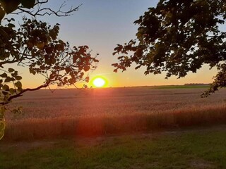 Apartment Fährdorf auf Poel Umgebung 37