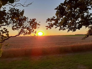 Appartement Fährdorf auf Poel Omgeving 37