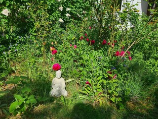 Apartment Fährdorf auf Poel Außenaufnahme 14