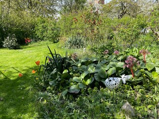 Appartement Fährdorf auf Poel Buitenaudio-opname 14