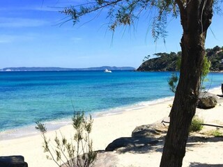Appartement Le Lavandou  14