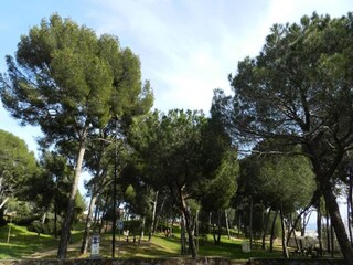 Appartement Le Lavandou  12