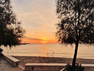 Appartement Le Lavandou  15