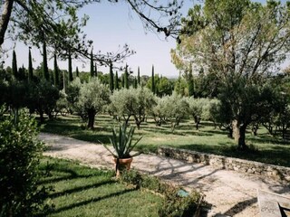 Apartamento Pernes-les-Fontaines  28