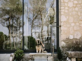 Apartamento Pernes-les-Fontaines  10