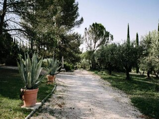 Apartamento Pernes-les-Fontaines  13