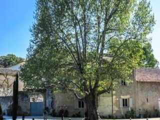 Apartamento Pernes-les-Fontaines  10
