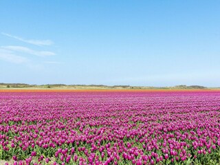 Appartamento Julianadorp  11