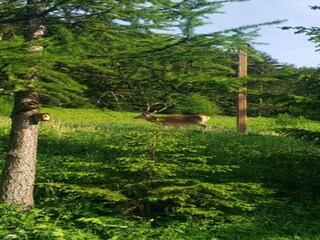 Appartement Villarodin-Bourget Omgeving 45