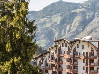 Appartement La Perrière  4
