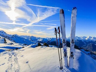 Appartement Les Deux Alpes Environnement 35