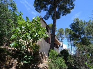 Ferienhaus Begur Außenaufnahme 7