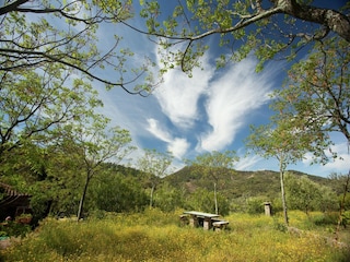 Maison de vacances Alajar Environnement 29