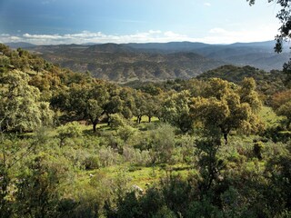 Casa de vacaciones Alajar Entorno 24