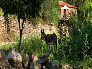 Casa de vacaciones Alajar Grabación al aire libre 4