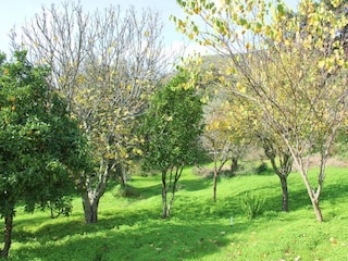 Cottage Alajar Umgebung 32