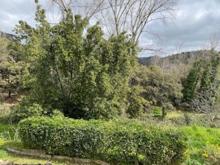 Cottage Alajar Umgebung 36