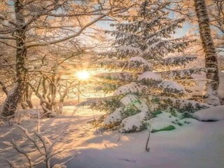 Appartamento Arâches-la-Frasse Ambiente 22