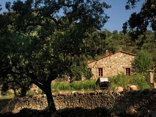 Cottage Alajar Außenaufnahme 8