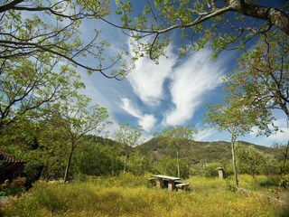 Holiday cottage Alajar Environment 31