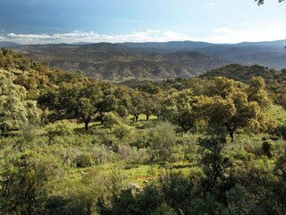 Holiday cottage Alajar Environment 32