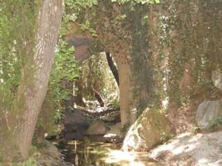 Holiday cottage Alajar Environment 20