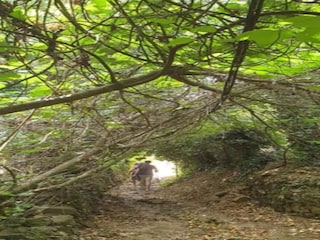 Casa vacanze Alajar Ambiente 36