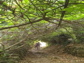 Holiday cottage Alajar Environment 34