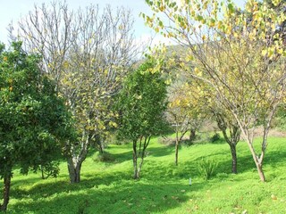 Holiday cottage Alajar Environment 26