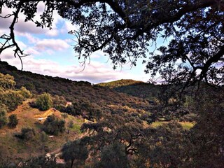 Holiday cottage Alajar Environment 31