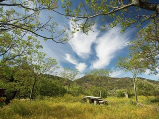 Holiday cottage Alajar Environment 32