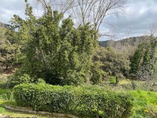 Cottage Alajar Umgebung 36