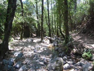 Casa de vacaciones Alajar Entorno 20