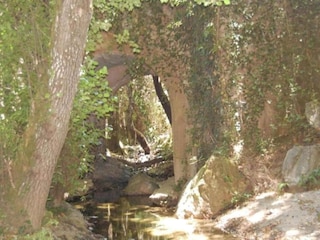 Cottage Alajar Umgebung 29