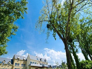 Apartment Saint-Malo  4