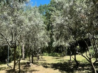 Apartamento Robion  8