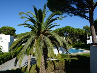 Appartement Pals Buitenaudio-opname 14