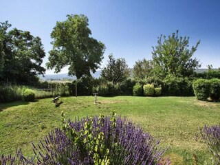 Apartamento Goult  5