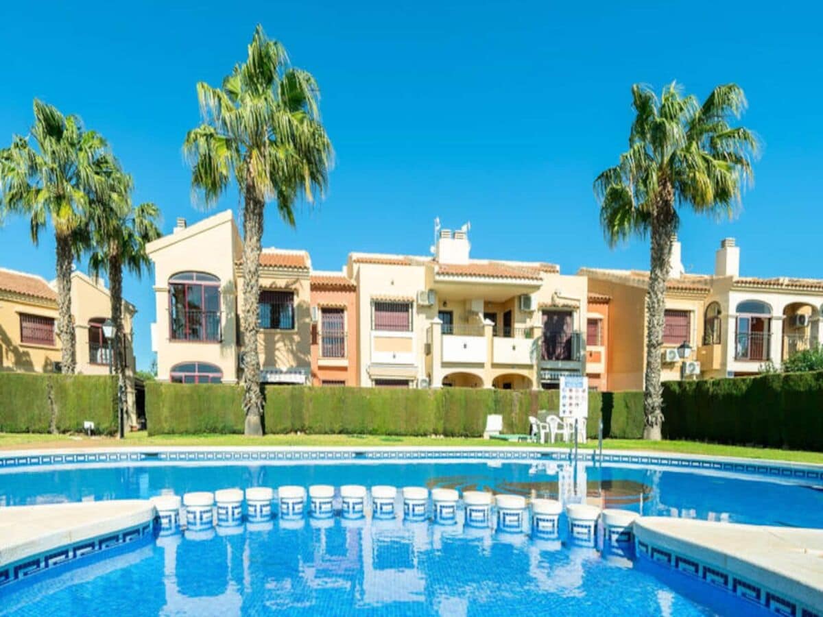 Apartamento Torrevieja  1