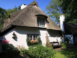 Vorderansicht des Hauses