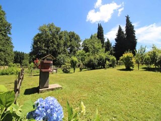 Apartment Cussac  8