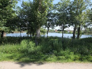 Dorfteich
