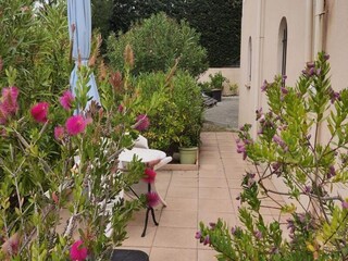 Apartamento Saint-Cyr-sur-Mer  10