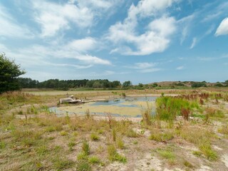Holiday park Egmond aan den Hoef Environment 24