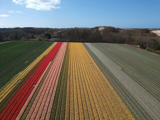 Parc de vacances Egmond aan den Hoef Environnement 27