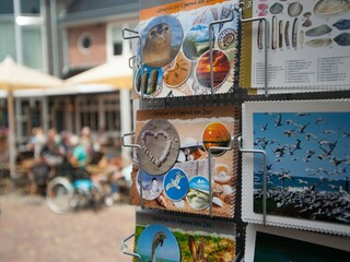 Holiday park Egmond aan den Hoef Environment 34